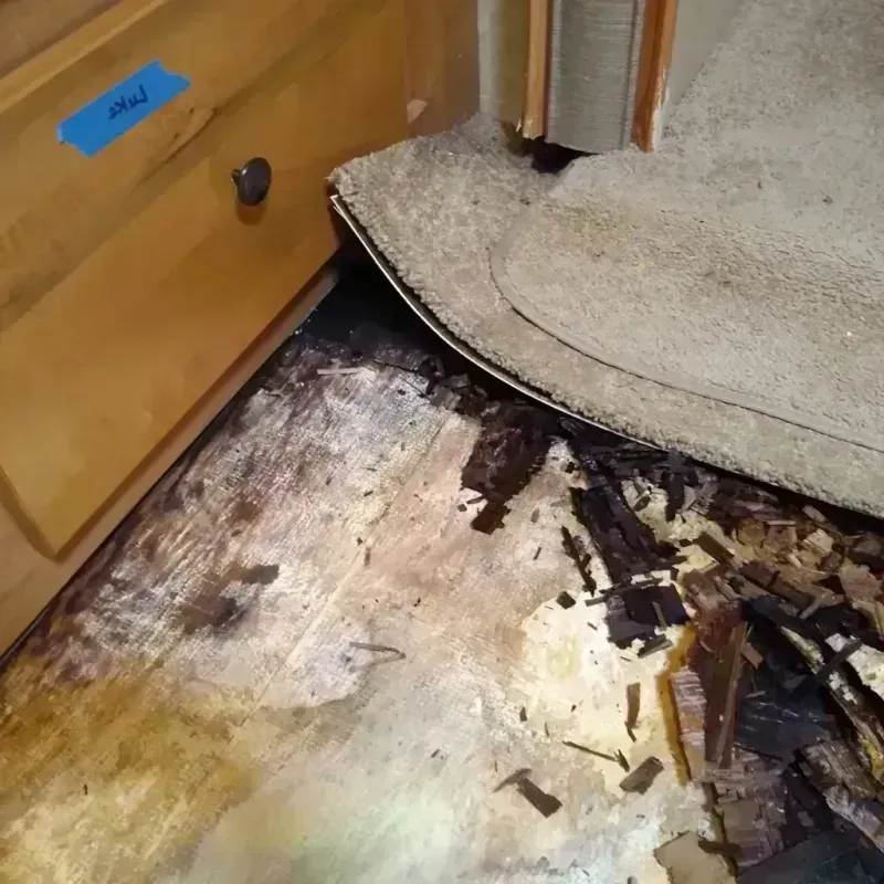 Wood Floor Water Damage in Florence, AZ